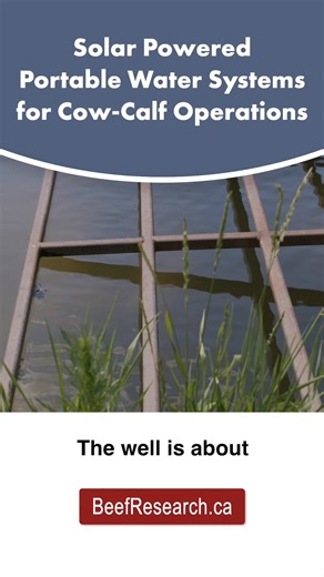Try the updated BCRC Economics of Water Systems Calculator to evaluate the initial cost, maintenance costs, potential economic benefits and pay-back period of a stock water system: https://www.beefresearch.ca/tools/water-systems-calculator/ | Beef Cattle Research Council