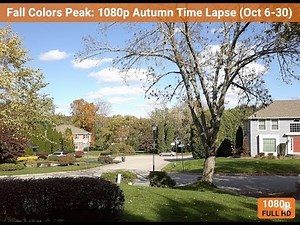 Fall Colors Peak: 1080p HD Autumn Time Lapse (Oct 6-30th 2025) - Nature's View Dsoon TL2000