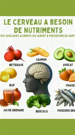 🧠 Le cerveau a besoin de nutrition Nourrir l’esprit est aussi important que nourrir le corps. Certains aliments apportent des bienfaits directs à la santé mentale et favorisent la concentration, la mémoire et l’équilibre intérieur. 💡 🔴 Betterave : riche en antioxydants, elle stimule la circulation sanguine vers le cerveau. 🐟 Saumon : concentré d’oméga-3 essentiels pour la santé cérébrale. 🥑 Avocat : source de bons gras qui soutiennent les fonctions cognitives. 🍓 Fraises : riches en vitamin