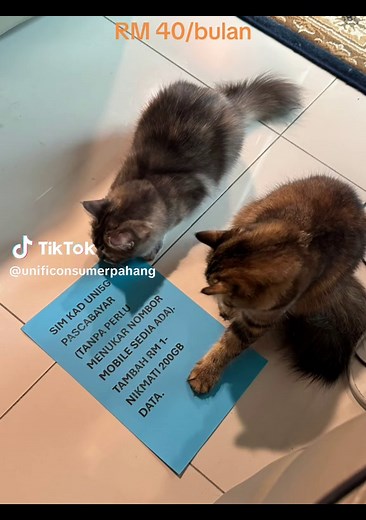 #uni5gfamily #uni5G #unifihome #unifimobile #Unifi #unlimitedcall #maintain#kuantan#pahang#nationwidedelivery