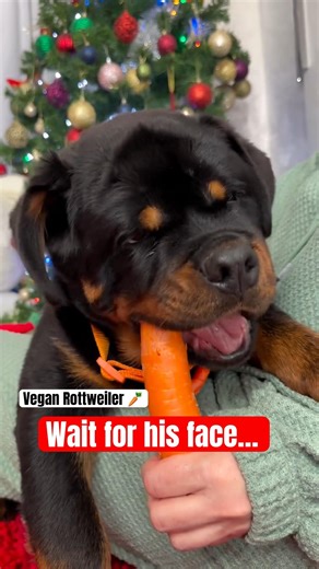 This was not in the manual 😂