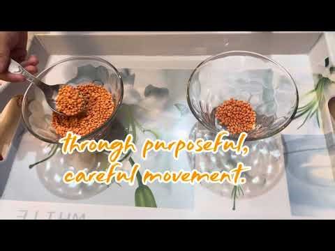 Montessori Spooning Activity | Practical life skills | Montessori at home