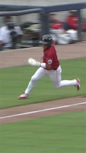 Ward finds the Worcester Wall!