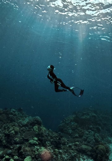 Diving into Freediving: Sury's Triumph at Duck Dive