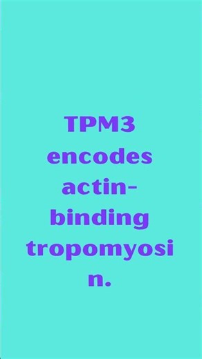TPM3 Tropomyosin 3