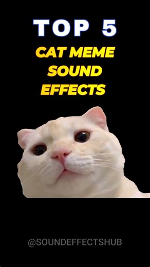 Ranking Top 5 Viral Cat Meme Sounds from TikTok 😹📱