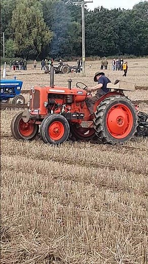1965 Nuffield 10/42 Tractor at The 73rd British National Ploughing Championships October 2024