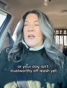 Loooooong Line #9! “A long line, a line that is long!” | emBARK