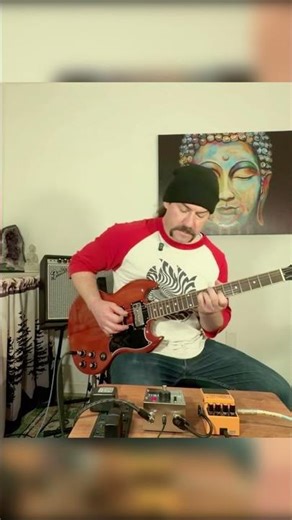 The holy Grail by EHX is one of my favorite reverbs #ehx #boss #df2