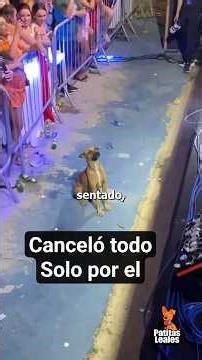 He cancelled the show because of a stray dog.