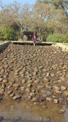 #foryou #foryou #foryou @راجہ حاشر👑 @ʳᵃجᵃ @@Shoaibrajput028 @Prinda🦅 @Alien Hunter