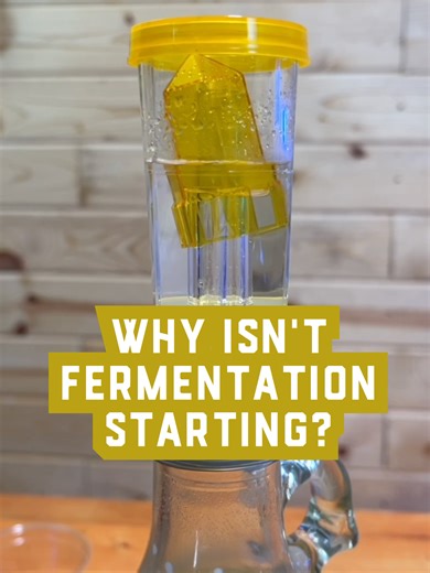 Laggy Yeast: Troubleshooting Fermentation Issues