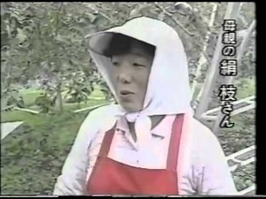 台風１９号 (1991年)全記録 Part5 （台風被害まとめ）