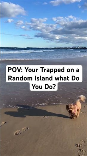 POV: You’re Trapped on a Random Island… What Do You Do?