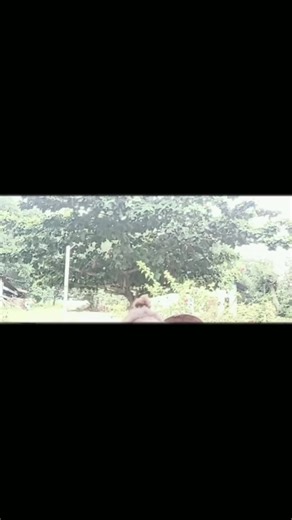 mita muid (@mita.muid)’s videos with suara asli - MISDAN🫶