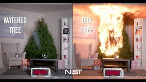 61K views · 248 reactions | This video of a real Christmas tree catching fire will absolutely terrify you. Watch to find out how to avoid a tragedy this season. | Daily Record | Facebook