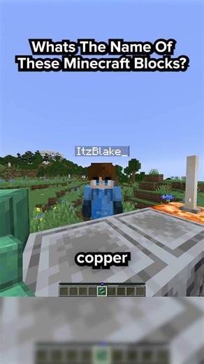 Can I Guess The Name Of These Minecraft Blocks