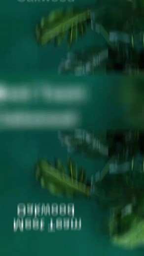 Hey all! Meet team Oakwood Based at 41 Smalley Drive, Oakwood, De21 2sf 📞 01332 661991 📧 Oakwood@harveylukehair.co.uk We use @joico, @unite, and @crazycolour We are an extremely busy salon with a lovely, friendly atmosphere, we love nothing more than welcoming our regular and new guests to our salon. Whilst you are in our salon, you can also enjoy a cheeky treat from our coffee shop, which is joined onto us at @kavacoffeebar See you all soon ♥️ | Harvey Luke hair