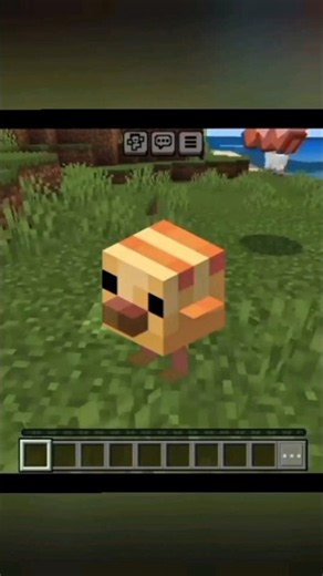 Top 4 Types of Chickens in Minecraft! 🐔 #minecraft #gaming