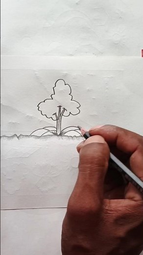 How To Drawing Tree And Easy