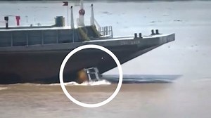 Speedboat crew jump for their lives to avoid being crushed by ferry in Brazil