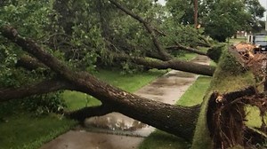 Tornado touchdown in Bemidji confirmed by NWS