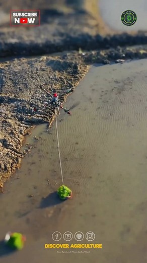 80K views · 23 reactions | Experience modern agriculture in action!...