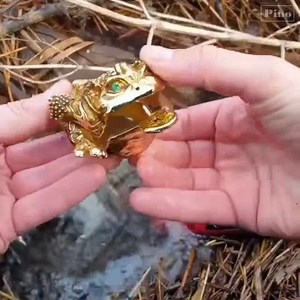 211K views · 295 reactions | Treasure Hunt With Metal Detector Comments | Black Wolf XXXII | Facebook