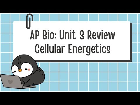 Unit 3 AP Biology Review