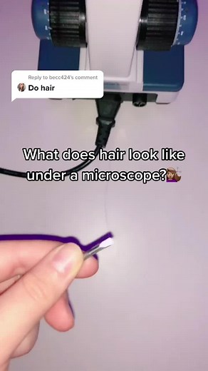 Reply to @becc424 lol I finally learned how to use distilled water. #microscope #fyp #foryourpage #stemkids #biologymajor #biomajor #stem #viral