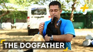 1.8M views · 476 reactions | This man helps stray dogs that can’t survive in Bangalore, India, to find a new life. | AJ+ | Facebook