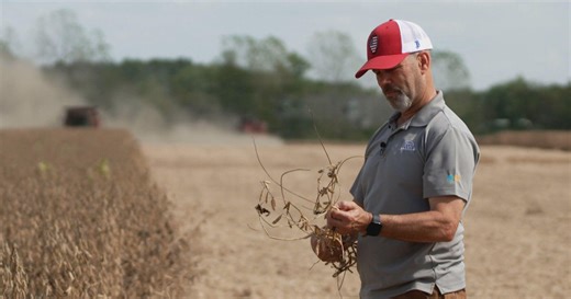 Soybean farmer feels strain of China's boycott