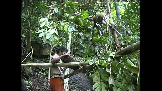 TRAPPING AND HUNTING MONKEYS AMONGST THE BATAK OF PALAWAN