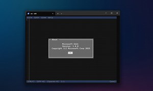 Cara Install Text Editor di Command Line Windows 11