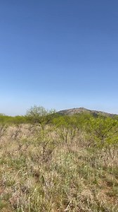 3.2K views · 20 reactions | Southwest Oklahoma Land! 8 lots of 5+/- Acres will be available on our website next week! #Oklahoma #Oklahomaland #Rurallife #Realestate #Offthegrid #Undevelopedland | Classic Country Land, LLC | Facebook