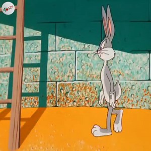 Bugs Bunny – Sahara Hare | Science