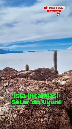 The incredible Incahuasi Island - Salar de Uyuni - Bolivia