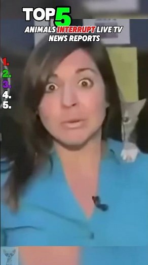 Top 5 Animals Interrupt Live TV New Reports #funny #newsbloopers #shorts #reels #animals
