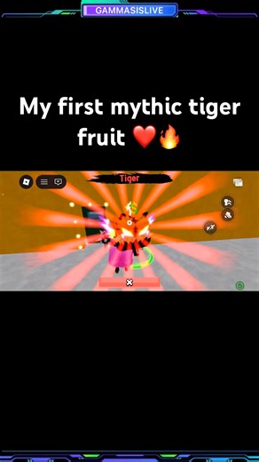 My first mythic tiger fruit #roblox #bloxfruits #gammasislive
