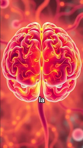 💊 Así funciona un antidepresivo (y por qué tarda en hacer efecto) #autocuidado #autoconocimiento
