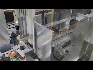 Carton Case Packer - Side Load