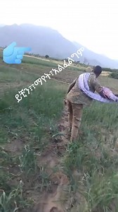 Information Science and Technology on Reels