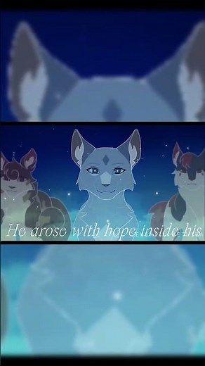 firestar edit|Story of A Warrior|#warriors#warriorcats#firestar