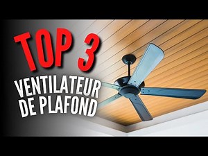 Best Ceiling Fan 2026