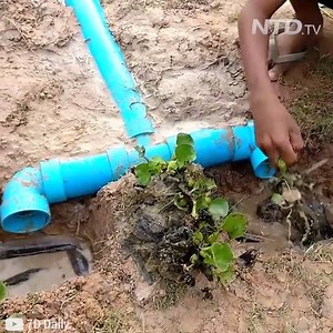 18M views · 189K reactions | Smart Boys Making Trap With PVC Pipes To Catch Fish 珞 Credit:7D Daily (goo.gl/8hXsJm) | Taste Life | Facebook