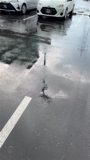 Toyota Yaris vs Toyota Aqua | Hybrid Solution Diagnostics