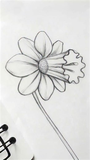 Art of dn on Instagram: "🌼 This Flower Sketch Pose Looks Easy… But It’s Not 😱✏️ : : 👀 STOP SCROLLING! This flower pose looks simple… but only real artists get it right 🌸✏️ : Sketch this flower pose in your own style and post your artwork in the comments 👇 📌 Don’t forget to mention @artofdn_official : 🎁 The best sketch will WIN a special gift 🔥 😍 Show your talent — surprise me! ❤️ Follow is free — but your support is priceless! : : #instadaily #trending #viral #artoftheday #drawingtutori