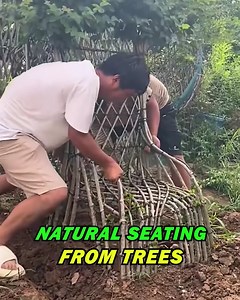 Natural Seating from Trees | Panda Store