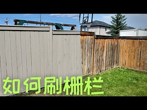 如何自己动手刷Fence栅栏？如何刷solid color stain实色擦色？刷fence的工具和方法，五个步骤和实用的小贴士。你问我答：刷fence常见问题
