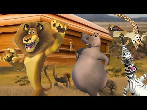 Madagascar - coffin dance song